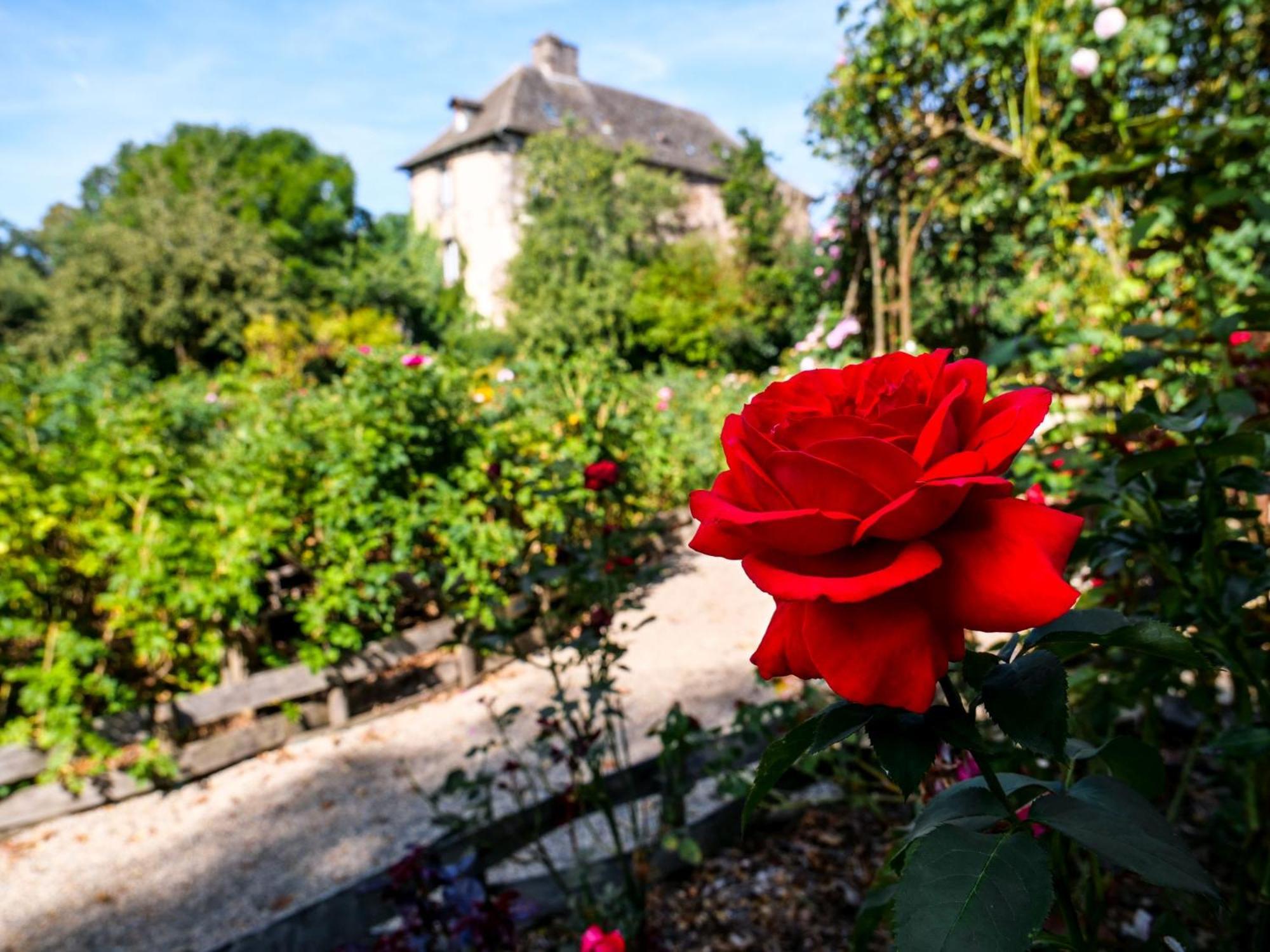 Bed and breakfast Château de Taussac Extérieur photo